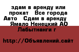 здам в аренду или прокат - Все города Авто » Сдам в аренду   . Ямало-Ненецкий АО,Лабытнанги г.